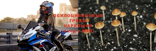 прущая мука Абинск