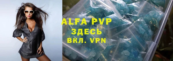 гашик Нефтекумск