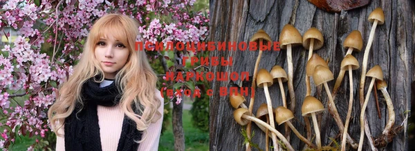 эйфоретик Абдулино