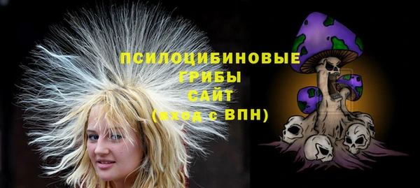 марки lsd Абаза